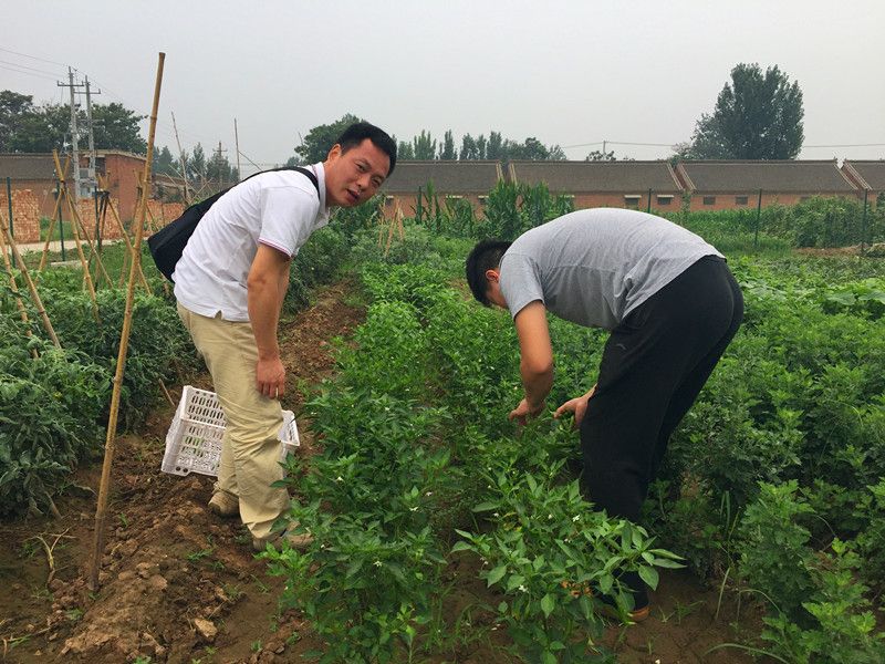 好利來郭總喊您來摘菜啦！綠色無公害，放心！